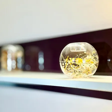 Chayka Chic Apartamento