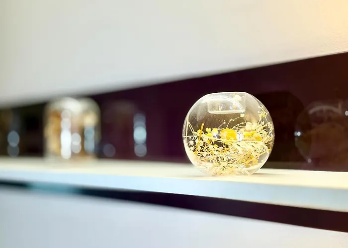 Chayka Chic Appartement